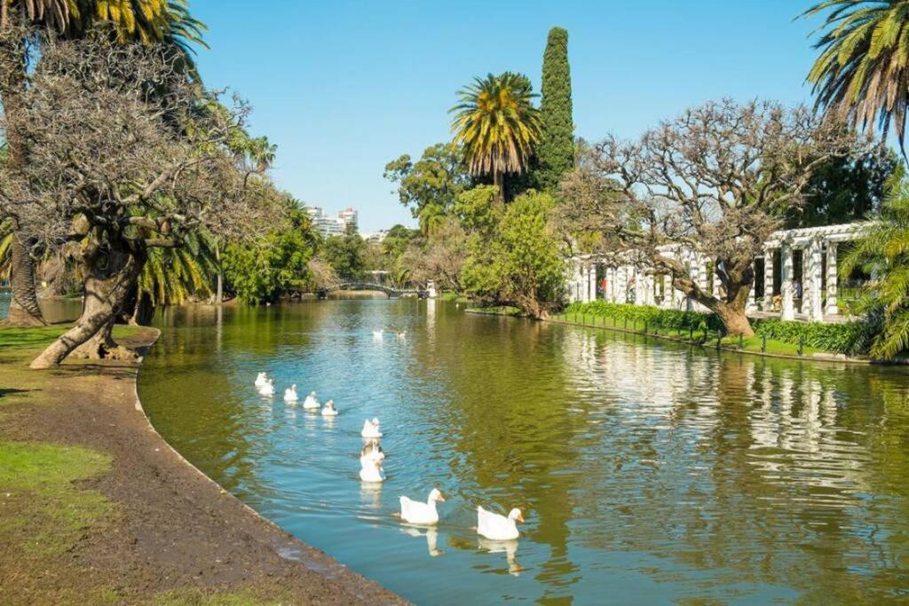 דירות בואנוס איירס Excelente Piso Muy Luminoso En Palermo מראה חיצוני תמונה